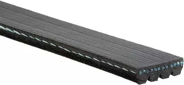 Belt - GM (88932520)