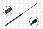 84344 - : Focus Auto Parts Hood Lift Support for Focus Auto Parts Image