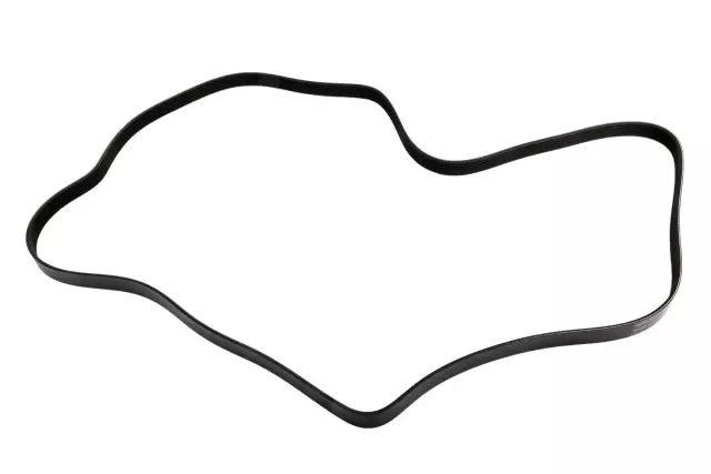12591059 - Cooling System: Serpentine Belt for Chevrolet: Malibu | Pontiac: G6 Image