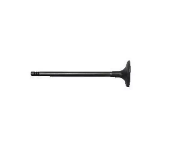 CM5Z6507A - : Intake Valve for Ford: EcoSport, Fiesta, Focus Image