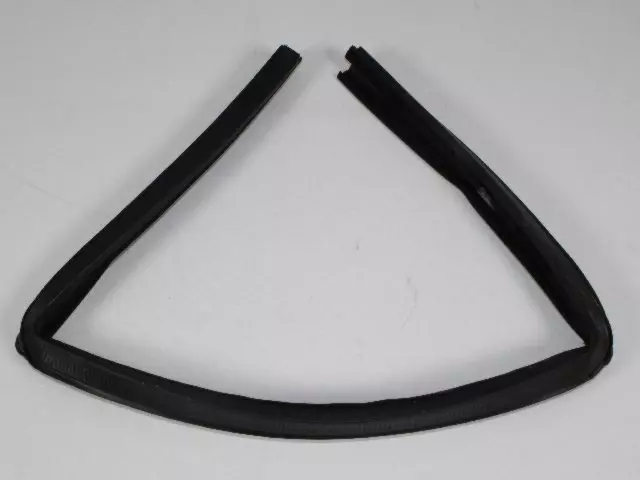 Rear Door Glass Run Weatherstrip, Left - Mopar (4724779AG)