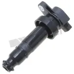 9212118 - : ThunderSpark 921-2118 Ignition Coil for ThunderSpark Image