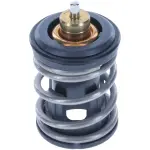 973207 - : Thermostat - 207 Degrees for Motorad Image