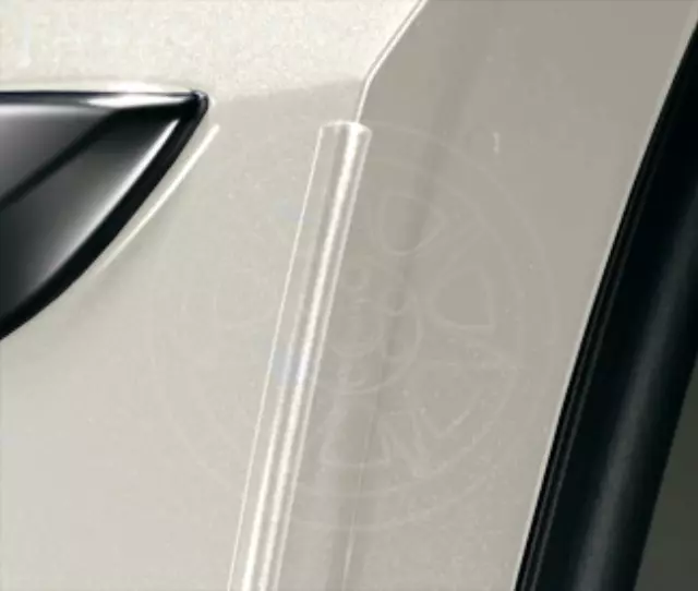 8P20SEP210 - Body: Edge Guard for Acura: TL Image