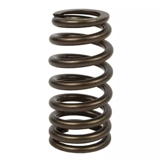 Valve Springs - Ford (ET4Z-6513-B)