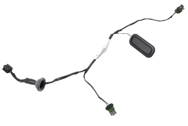 Rear License Plate Lamp Wiring Harness - GM (22894424)