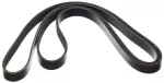 11720ET80A - : Serpentine Belt for Nissan Image
