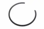 24295068 - : F Ring for GM Image