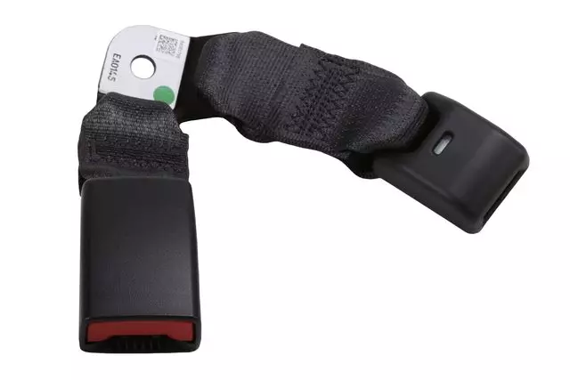 Buckle - GM (42886426)