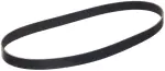 117206TA0A - : Serpentine Belt for Infiniti Image