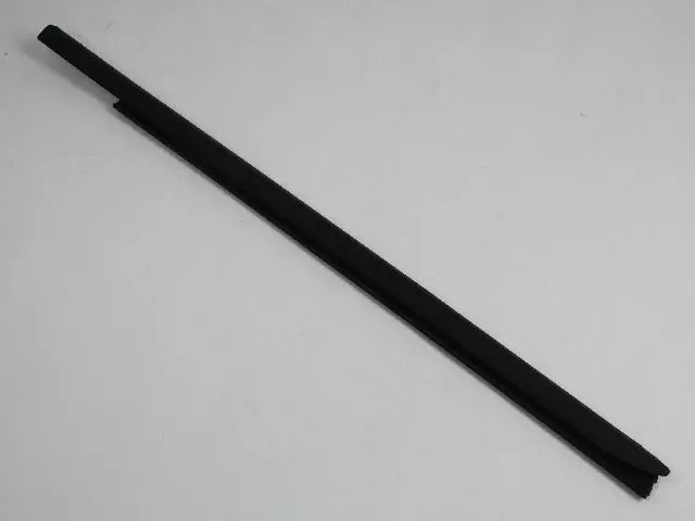 Belt Weather-Strip - Mopar (55112379AI)