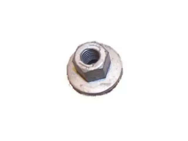 Nut Adjusting Screw - Ford (W302254-S300)