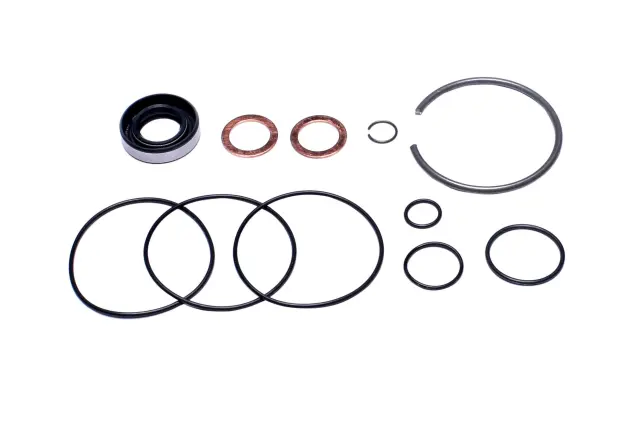 8401303 - Suspension &amp; Steering: Power Steering Pump Seal Kit for Sunsong Image
