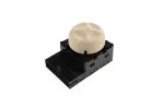 23175801 - Body: Lumbar Switch for GM Image