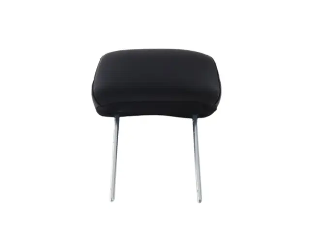 6XZ15SD4AA - Interior Trim: Rear Headrest, Center for Mopar Image