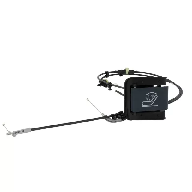 Latch - Ford (M2DZ-7862419-AC)