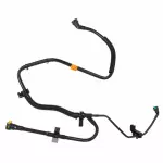 F2GZ9D683A - Emission System: Connector Hose for Ford: Edge | Lincoln: MKX, Nautilus Image