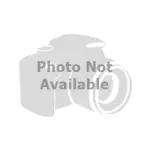 41940 - : Direct Fit Catalytic Converter (Non C.A.R.B. Compliant) for AB Catalytic Image