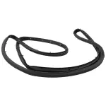 FA1Z5820531A - Body: Door Weather-strip for Lincoln: MKX, Nautilus Image