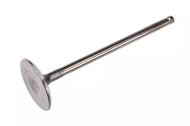 19316203 - : Engine Intake Valve for Chevrolet: City Express Image