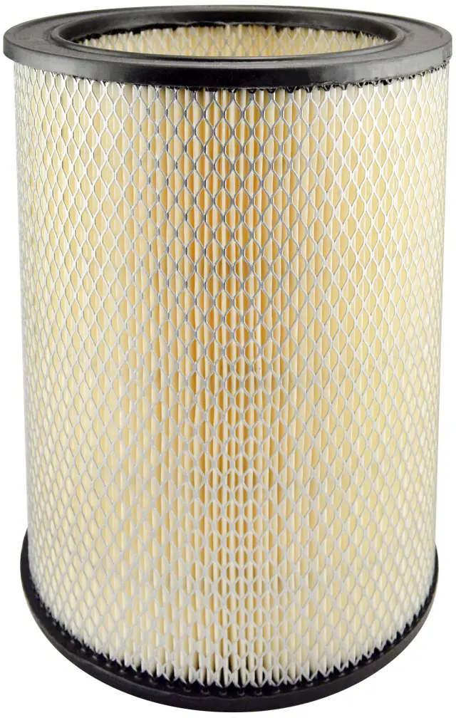 PA1795 - : Air Element for Baldwin Image