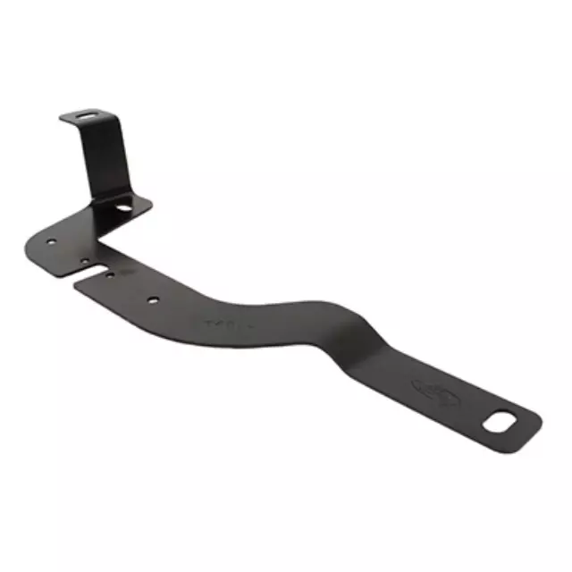Lamp Assembly Bracket - Ford (DB5Z-15A455-B)