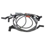 WR6111 - Electrical: Motorcraft™ Spark Plug Wire Set for Ford: Freestar | Mercury: Monterey Image