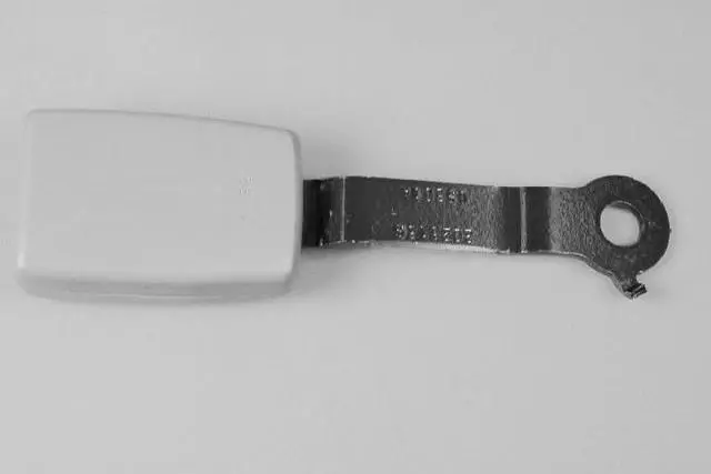 5HP921J3AB - Interior Trim: Rear Inner Seat Belt for Chrysler: Aspen | Dodge: Durango Image