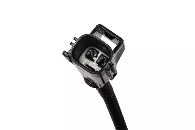 Negative Battery Cable - GM (20955244)