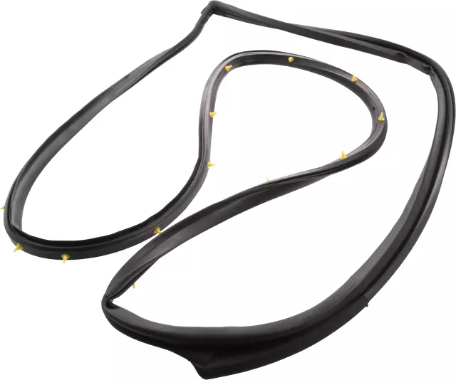 80831ZX60A - Body: Door Weather-strip for Nissan: Altima Image