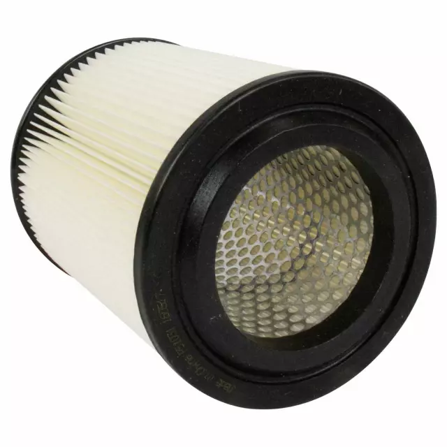 Element Assembly Air Cleaner - Ford (QFA-49)