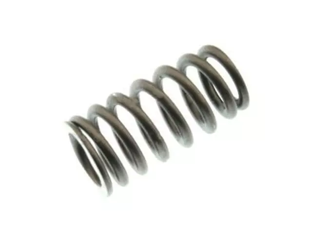 Valve Springs - Ford (EL3Z-6513-A)