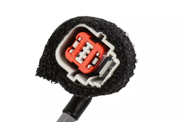 Rear License Plate Lamp - GM (20890648)