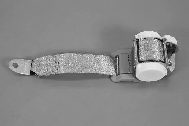 1AN15DX9AD - Restraints: Rear Center Shoulder Seat Belt for Mopar Image