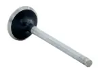V2769 - : Engine Exhaust Valve for Enginetech Image
