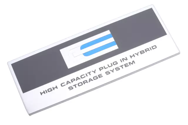 84032909 - Body: Emblem for GM Image