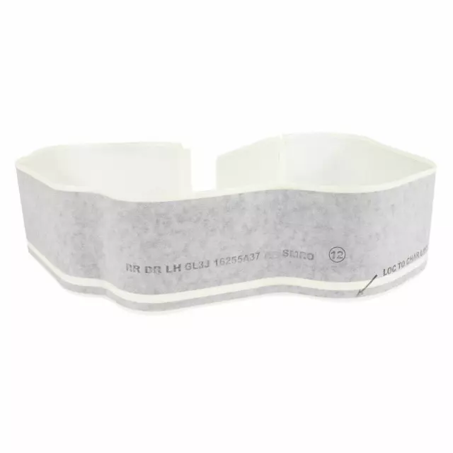 GL3Z16255A37AA - Body: Stripe for Ford: F-150 Image