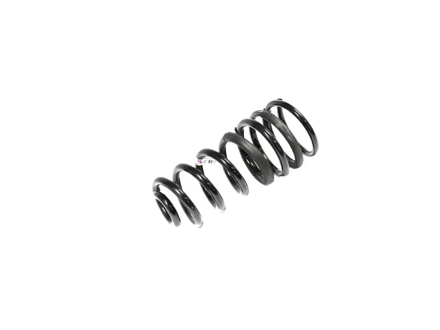 68349182AB - : Rear Coil Spring, Left for Mopar Image