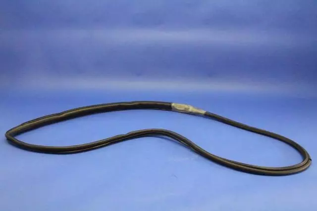 Door Glass Weatherstrip, Right - Mopar (4763878AE)