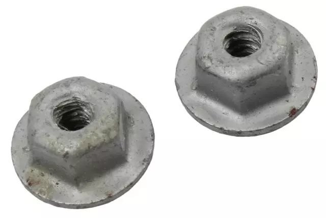 11570664 - : F (S)Nut for GM Image