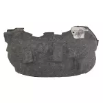 FL3Z16103F - Body: Fender Splash Shield for Ford: F-150 Image