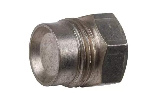 12556596 - : Multi-Purpose Threaded Plug for GM Image