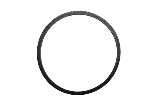 8626423 - : Automatic Transmission Manual 2-1 Band Servo Piston Seal for GM Image