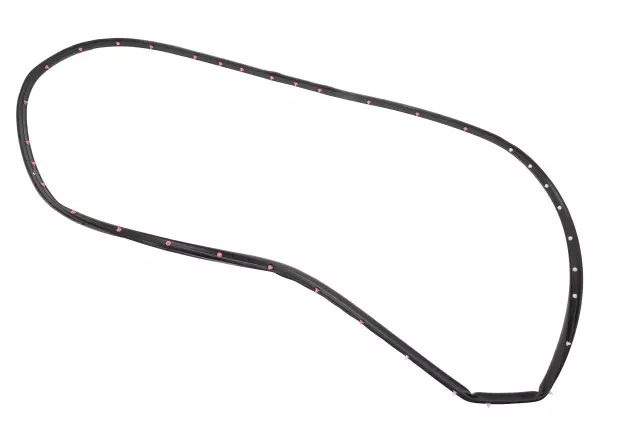 Front Driver Side Door Weatherstrip - GM (84270782)