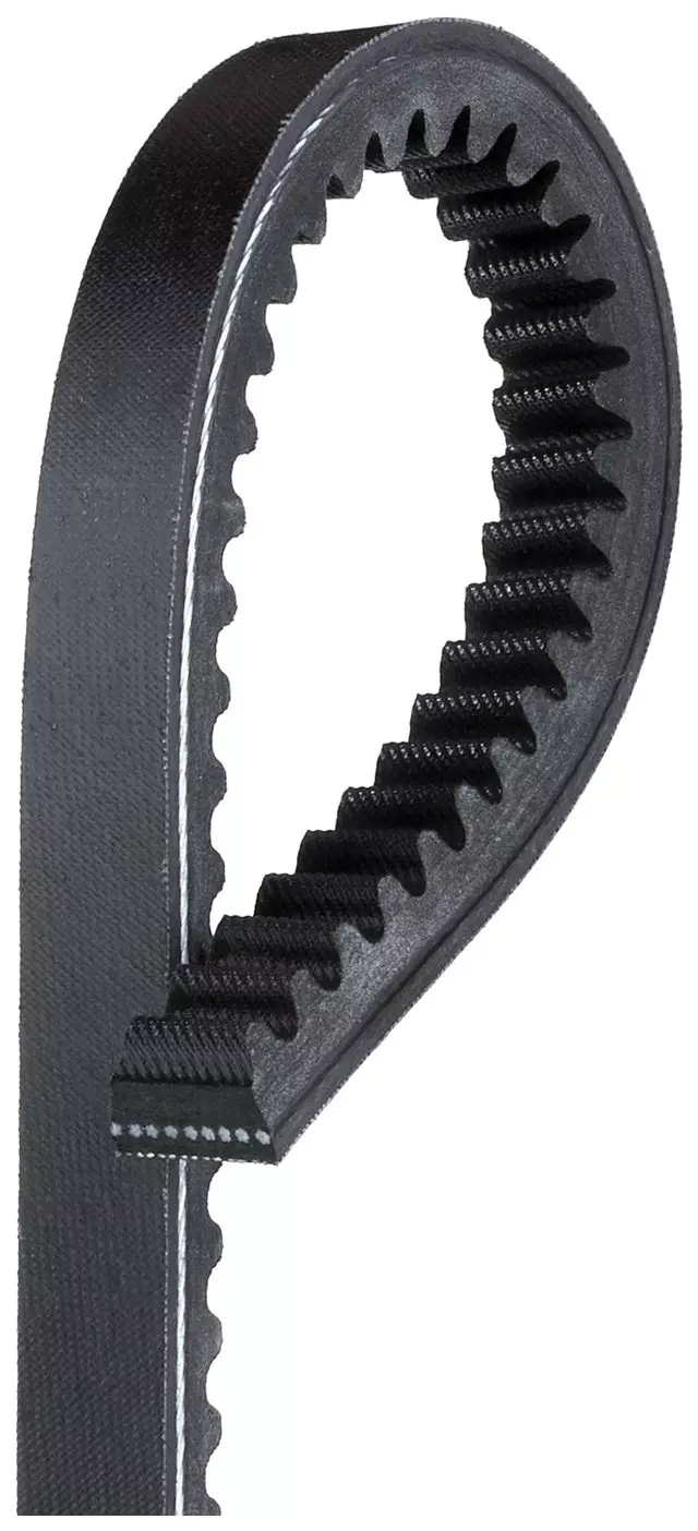 Belt - GM (88933259)