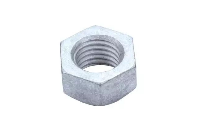 F (S)Nut - GM (19406012)