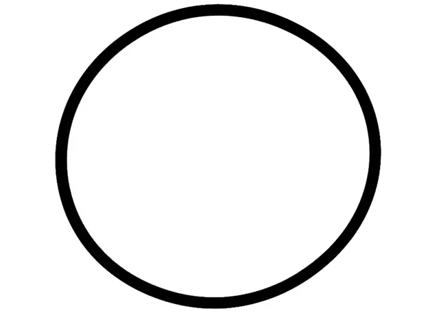 10282861 - Fuel System: Fuel Pump Assembly Seal for Chevrolet: Venture | Oldsmobile: Silhouette | Pontiac: Montana, Trans Sport Image