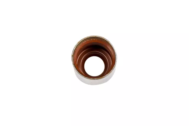 12457652 - : Valve Seals for Chevrolet: Camaro, Corvette, Silverado 1500, Silverado 1500 HD, Silverado 2500, Silverado 2500 HD, Silverado 3500, Suburban 1500, Suburban 2500, Tahoe | GMC: Sierra 1500, Sierra 1500 HD, Sierra 2500, Sierra 2500 HD, Sierra 3500, Yukon, Yukon XL 1500, Yukon XL 2500 | Pontiac: Firebird Image