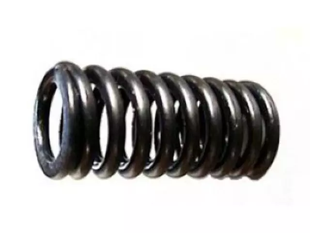 Engine Valve Spring - Ford (ER3Z-6513-B)