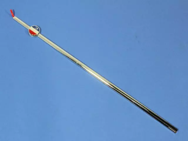 Front Door Molding, Right - Mopar (4806348AB)